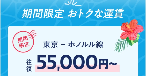 JAL 東京ーホノルルが55,000円～ 今年の夏こそハワイへ