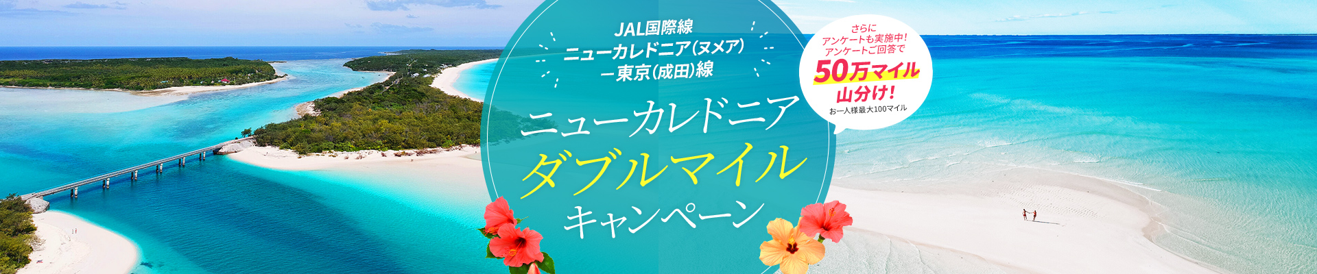 JAL国際線 ニューカレドニア（ヌメア）－東京（成田）線 ニューカレドニア ダブルマイルキャンペーン