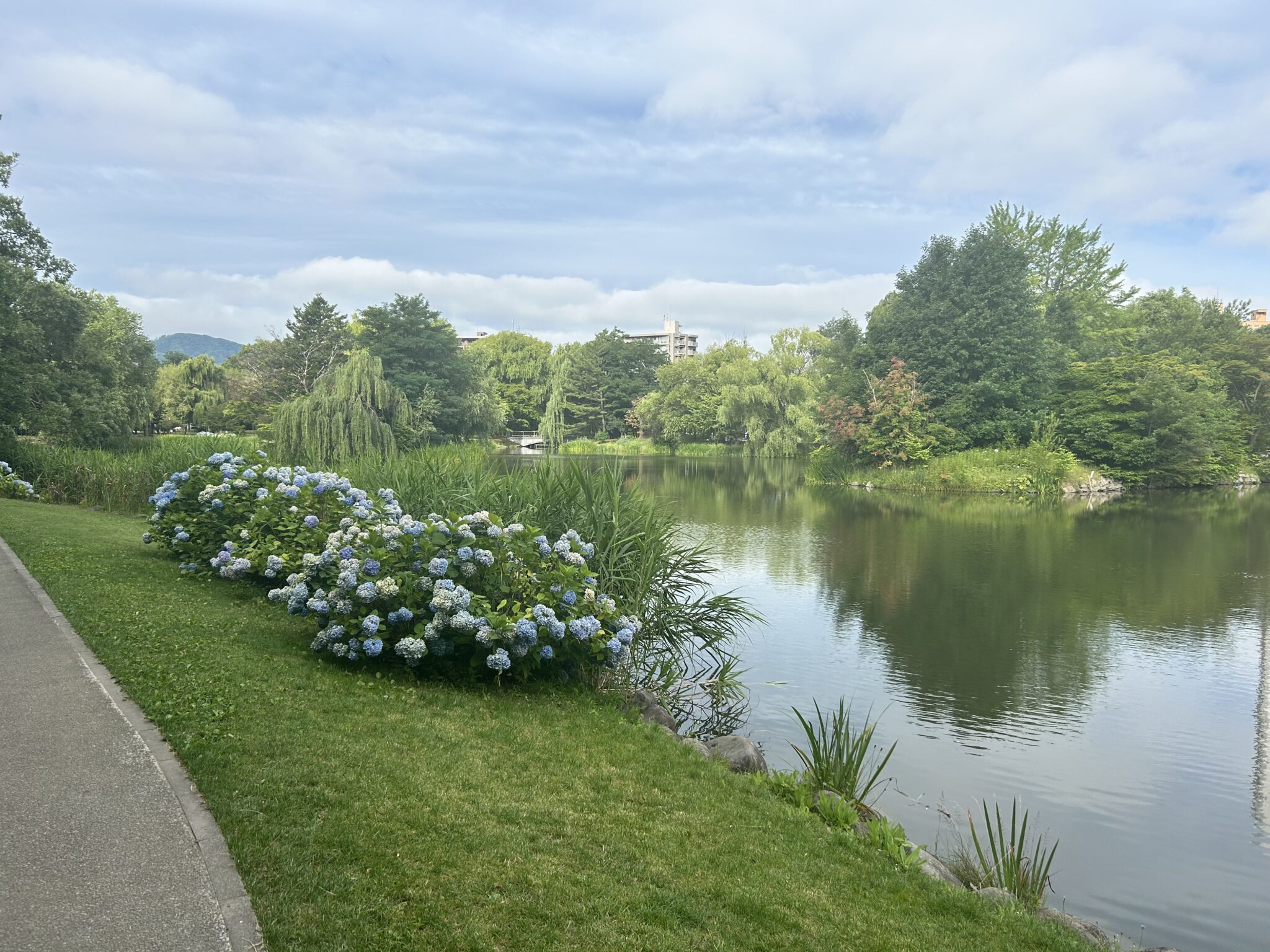 中島公園